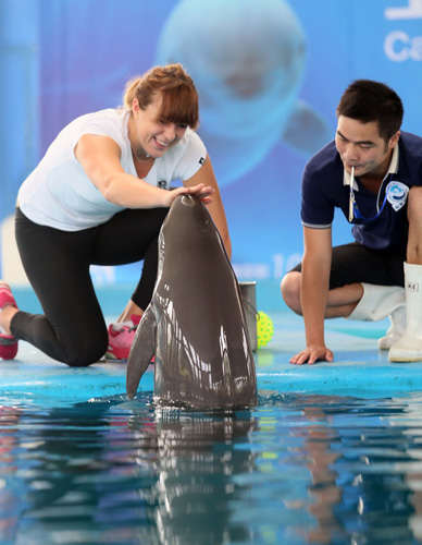 赛的影响力 赛的影响力