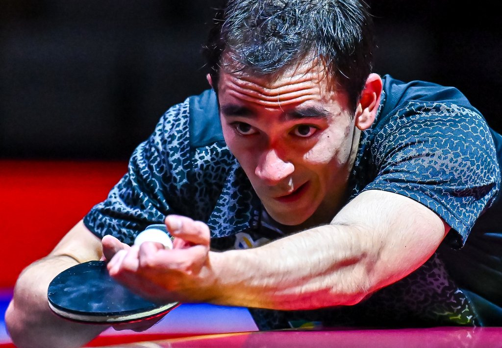 将成为世界 将成为世界