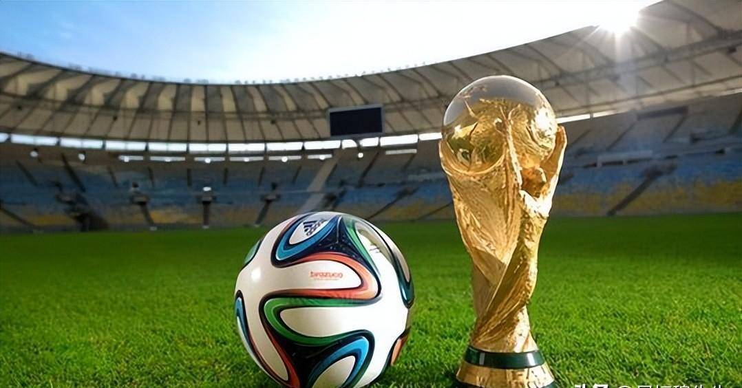 识别重点区 识别重点区