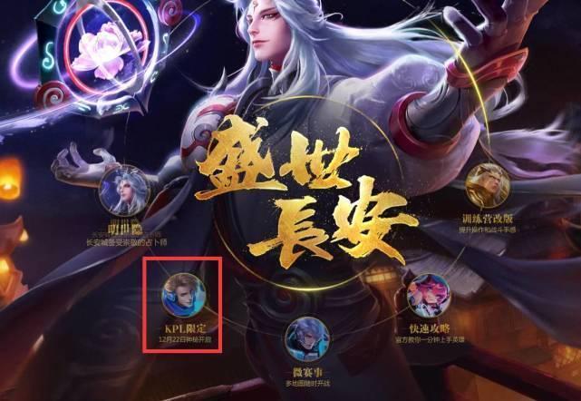队员提供了 队员提供了